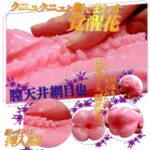 Ride Japan Onahole Vaginal heaven mesh with virgin lotion (110mm) Asli Jepang