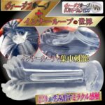 Ride Japan Onahole Virgin Loop Double Motion Long Hard (160mm) Asli Jepang