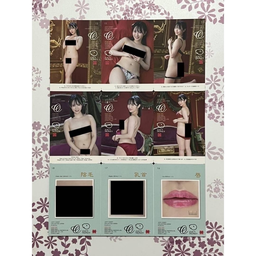  Juicy Honey PLUS #13 Trekking Sheet Uncut Ono Rokka Series 