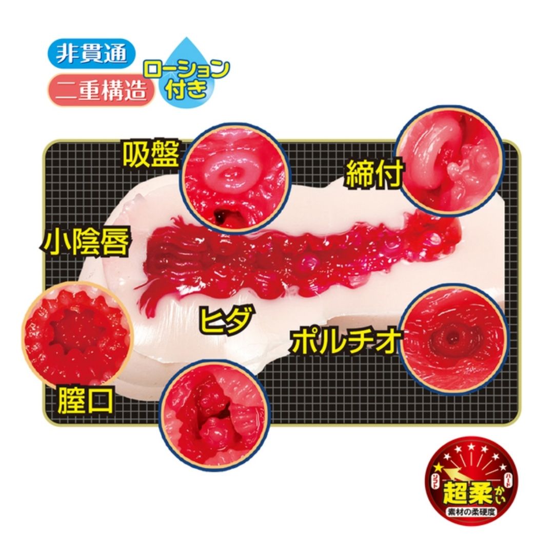 NPG Beautiful Girl in a School Swimsuit After School Hoshinagi-chan (170mm)