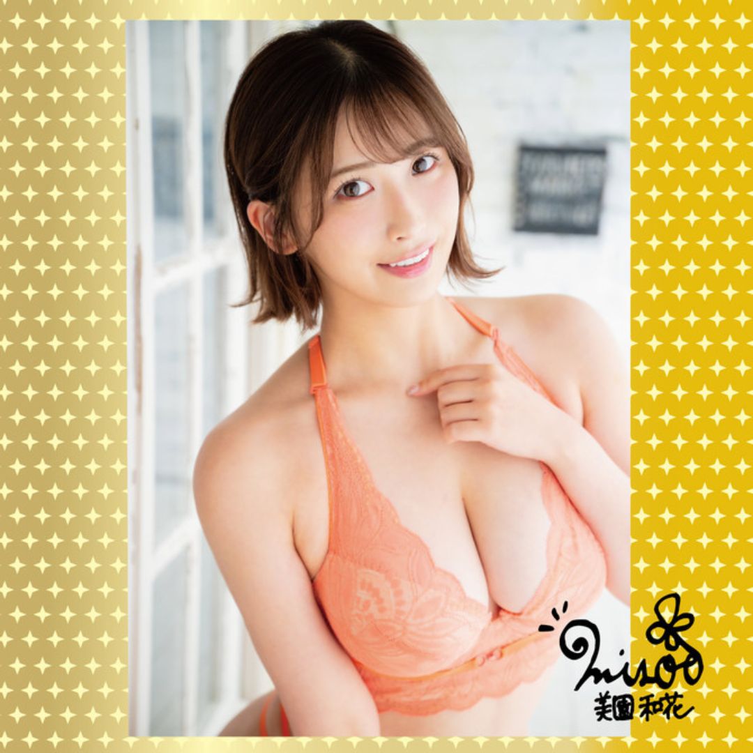 NPG AV ONA CUP PREMIUM NO.05 Waka Misono Cup Onahole Genggam Tekstur Padat