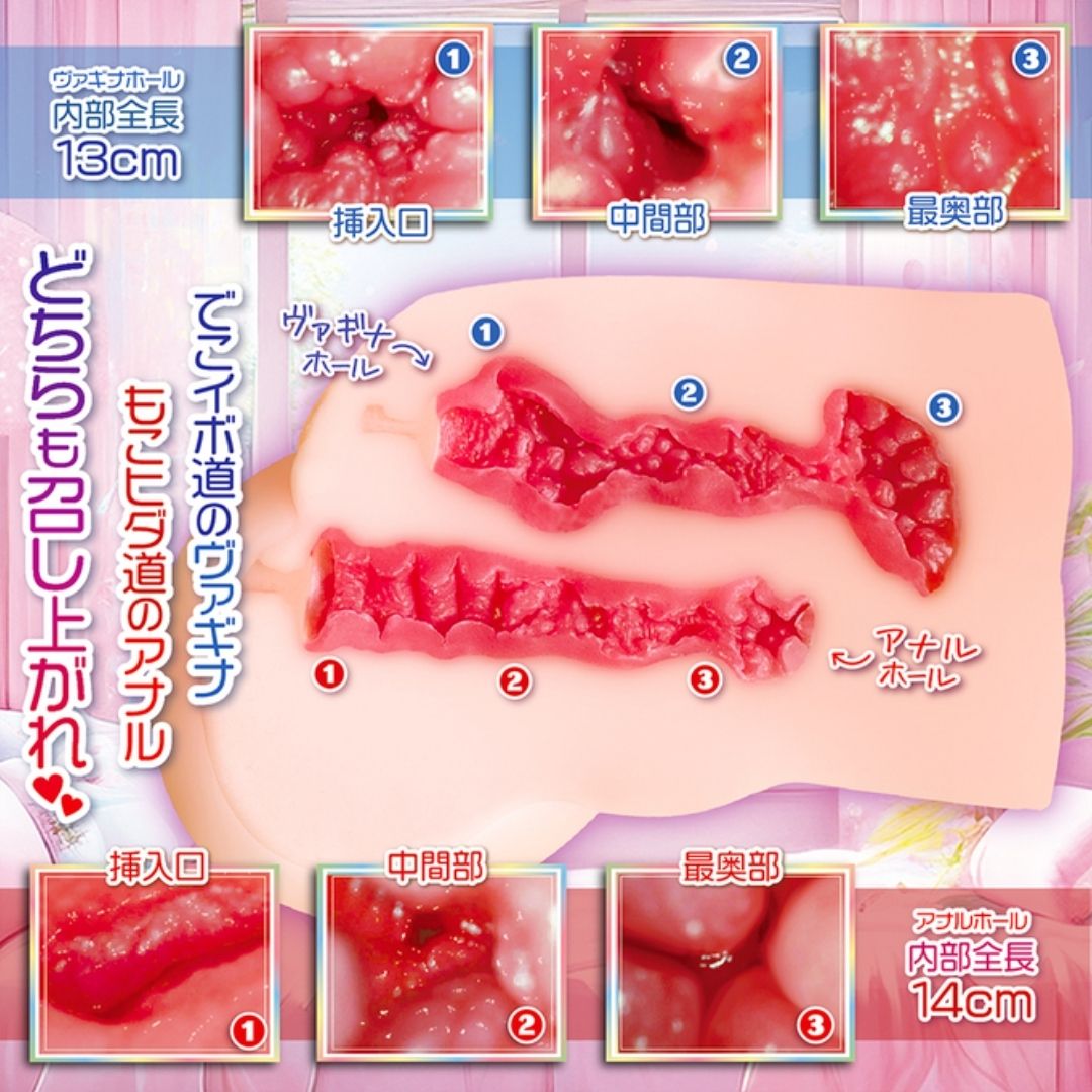 Masturbator NOTOWA MekoReal NTWA-040 – Dual Hole Realistis dengan Gimmick Berbeda
