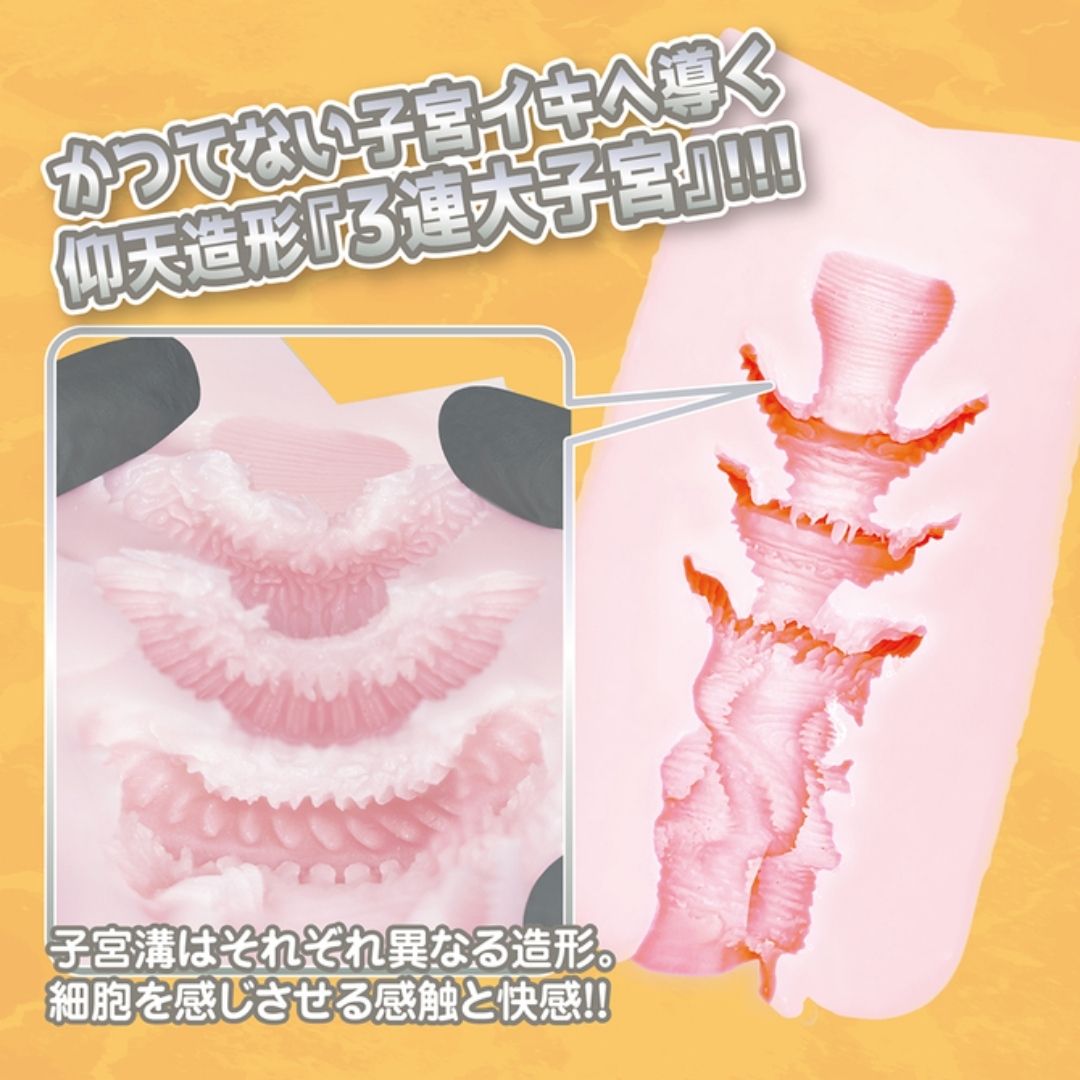 Ligre Japan Continuous Uterine Cell Inutero Ligre-0307 Onahole
